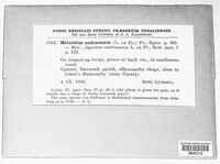Image Associated With the Occurence